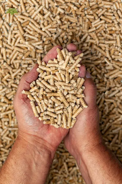 les-pellets (400 x 600 px) les-pellets (400 x 600 px)